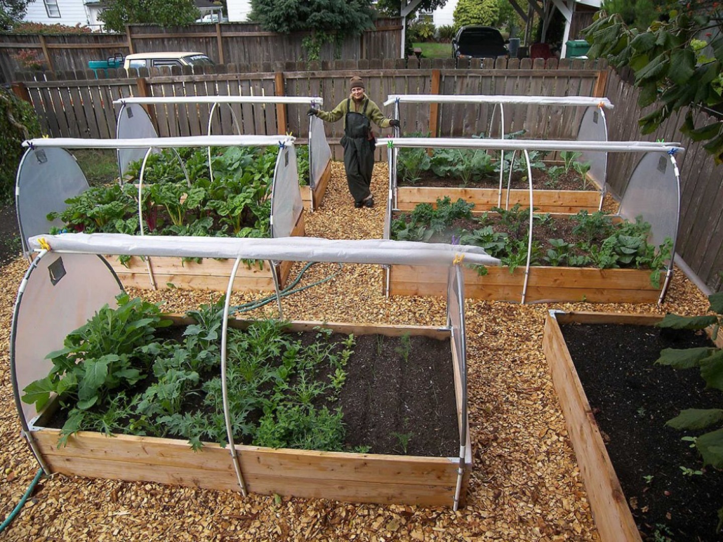 Pestovanie zeleniny v chránených priestoroch