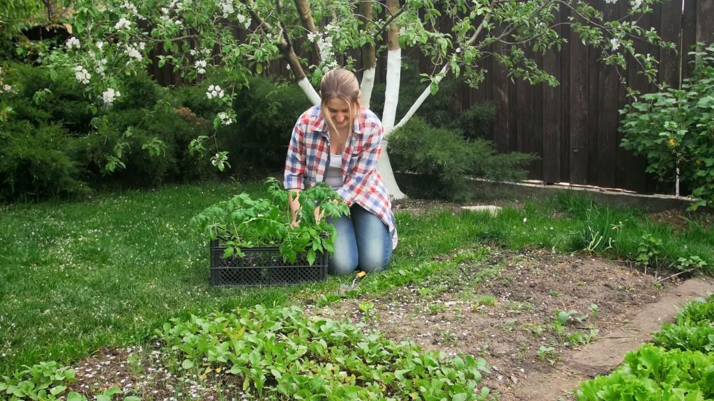 Kalendár záhradkára: Čo musíte urobiť v záhrade v máji?