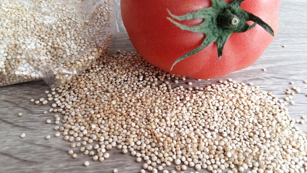 Quinoa je bezlepková, výživná a superzdravá