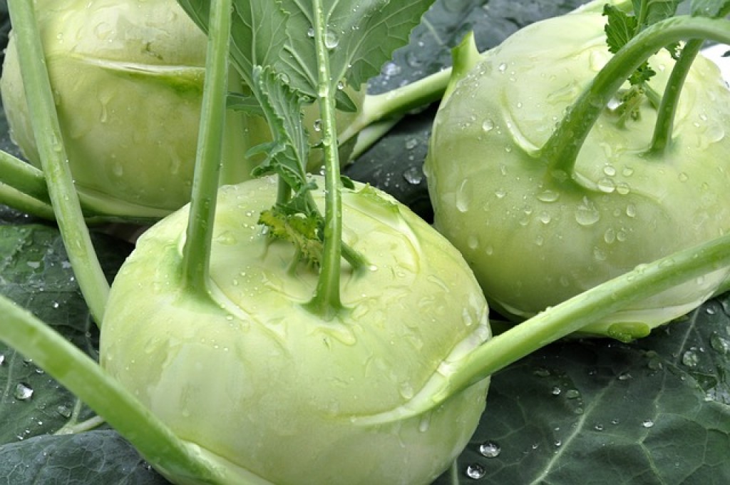 Kaleráb je nenápadná zelenina s vynikajúcimi účinkami na zdravie