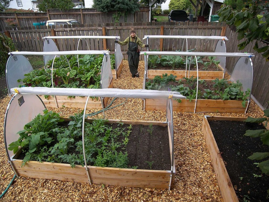 Pestovanie zeleniny v chránených priestoroch