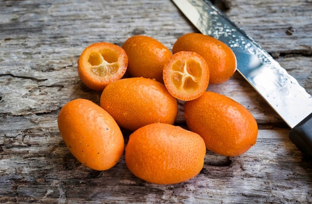 Kumquat - kedysi okrasná rastlina, dnes uznávaný citrus
