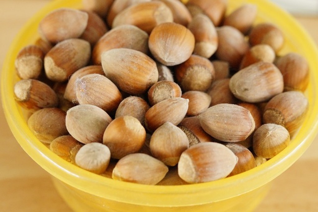 Lieskové orechy sú zdrojom zdravých tukov