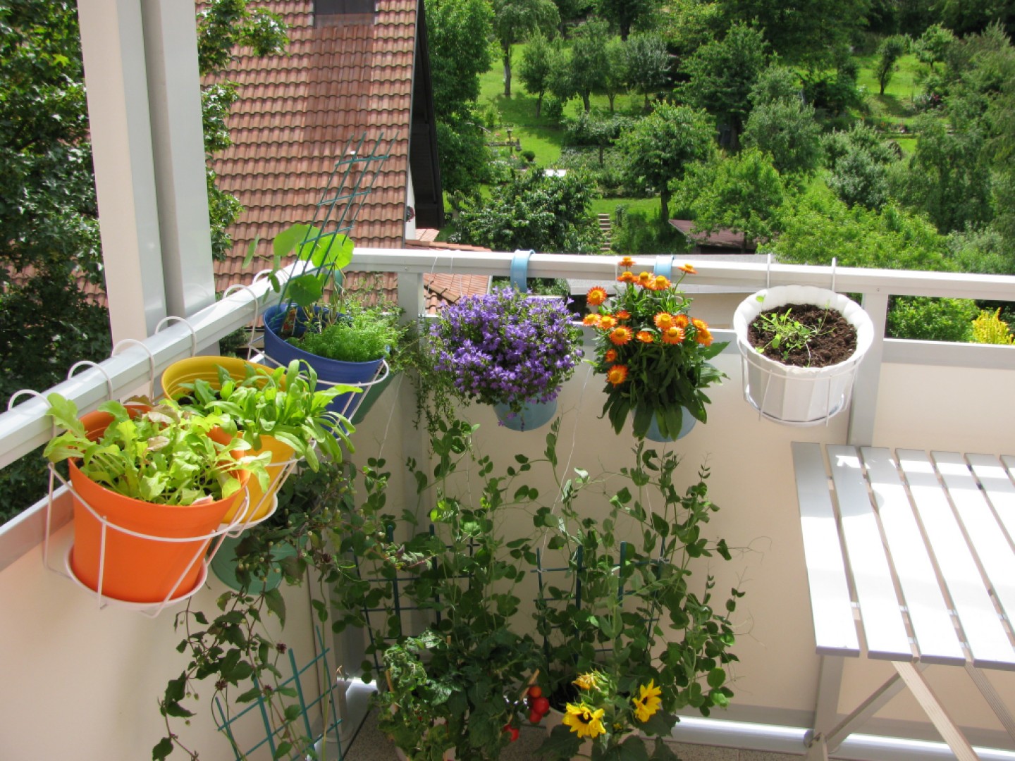 Ako pestovať bylinky na balkóne?