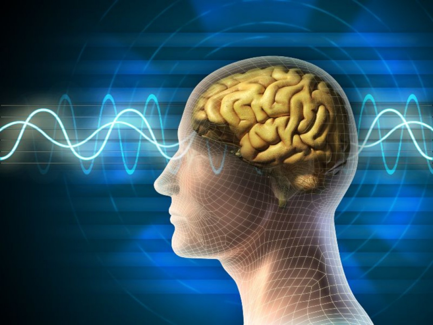 Čo sú mozgové vlny, ich delenie a význam