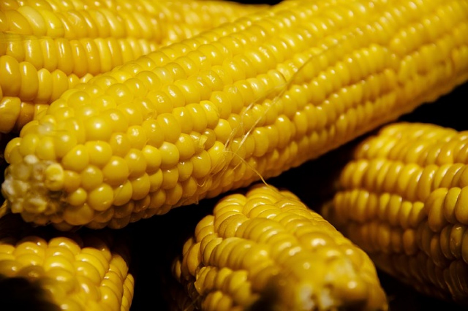 Je kukurica zdravé potešenie či kalorická bomba?